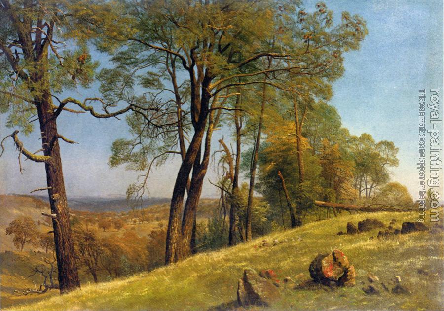 Albert Bierstadt : Landscape Rockland County California